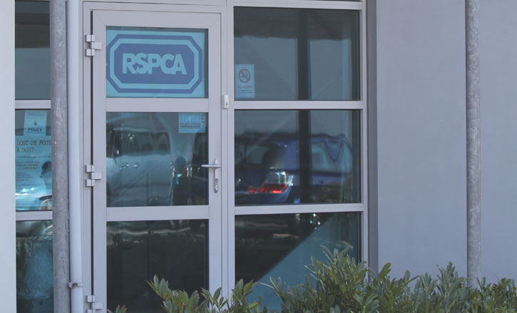 Client: RSPCA